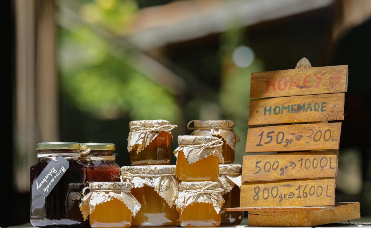 Bee Eco Guest House Moll' e Shoshit Экстерьер фото