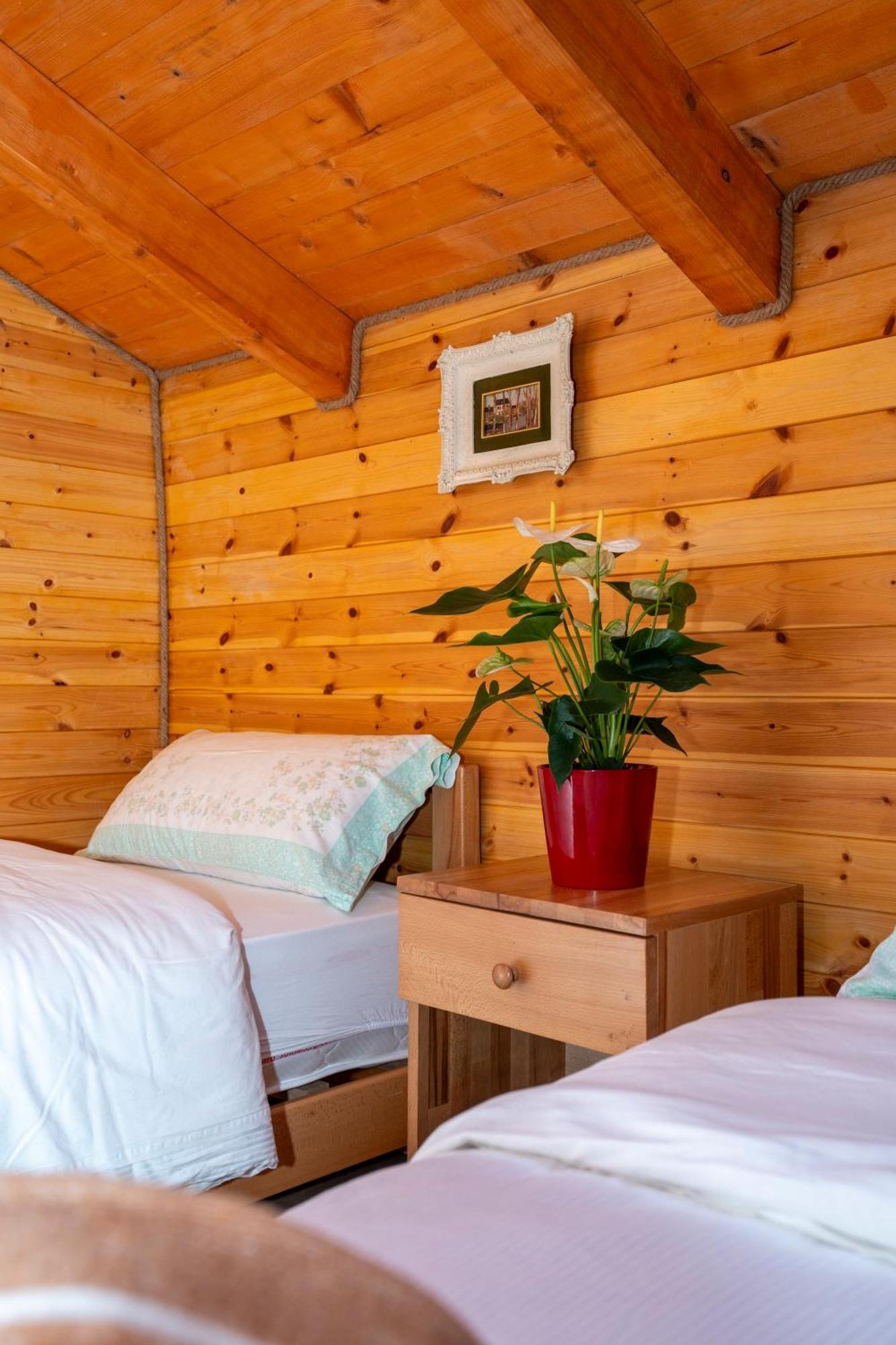 Bee Eco Guest House Moll' e Shoshit Экстерьер фото